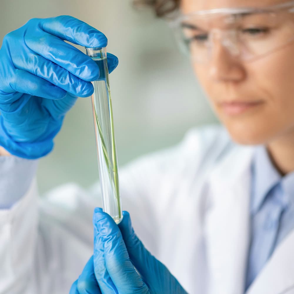 Pharmacy worker examining skincare formulation in test tube
